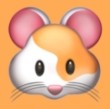 WWW,135se·COM网站APPAPP应用